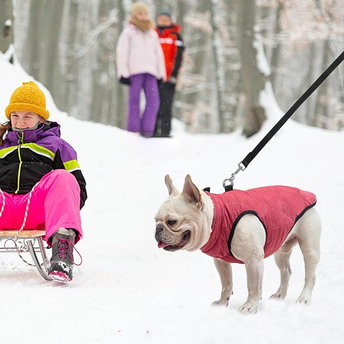 SCENEREAL Winter Dog Vest Coat with Built-in Harness, Warm Puppy Jacket for Small to Medium Dogs, Cold Weather Coat with Zipper, Fleece Puffer Vest, Windproof Snow Clothes