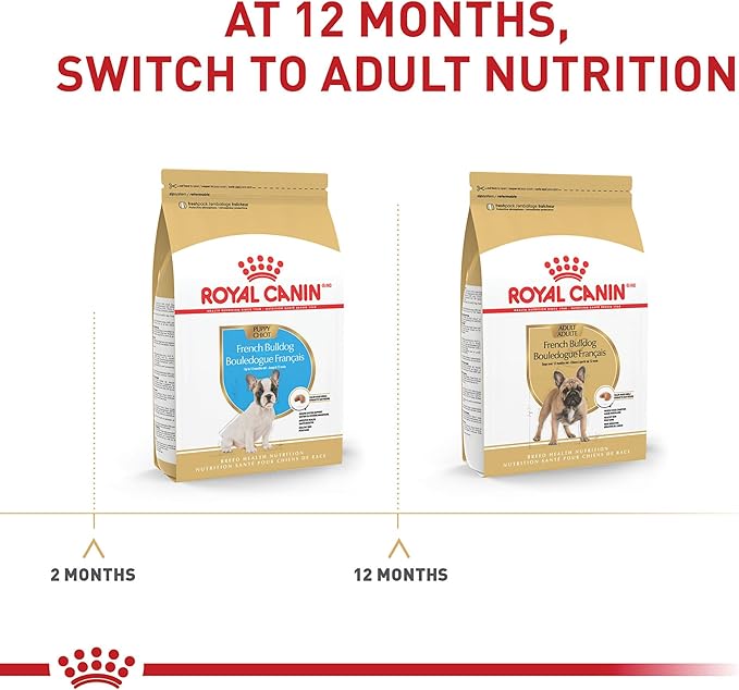 Royal Canin Breed Health Nutrition French Bulldog Puppy Dry Dog Food, 10.5 lb Bag