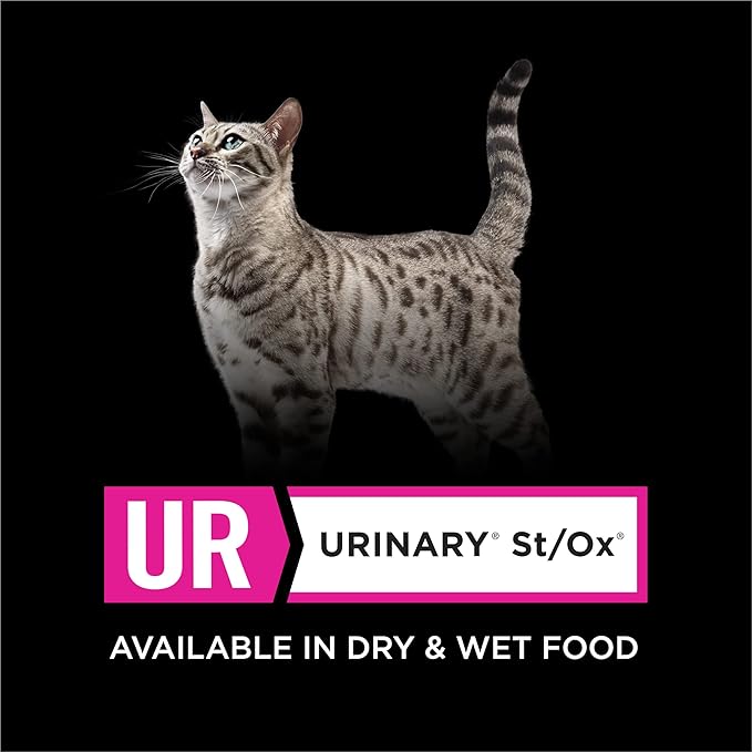 Pro Plan Veterinary Diets Purina UR Urinary St/Ox Savory Selects Feline Formula Salmon Recipe in Sauce Wet Cat Food - (Pack of 24) 5.5 oz. Cans
