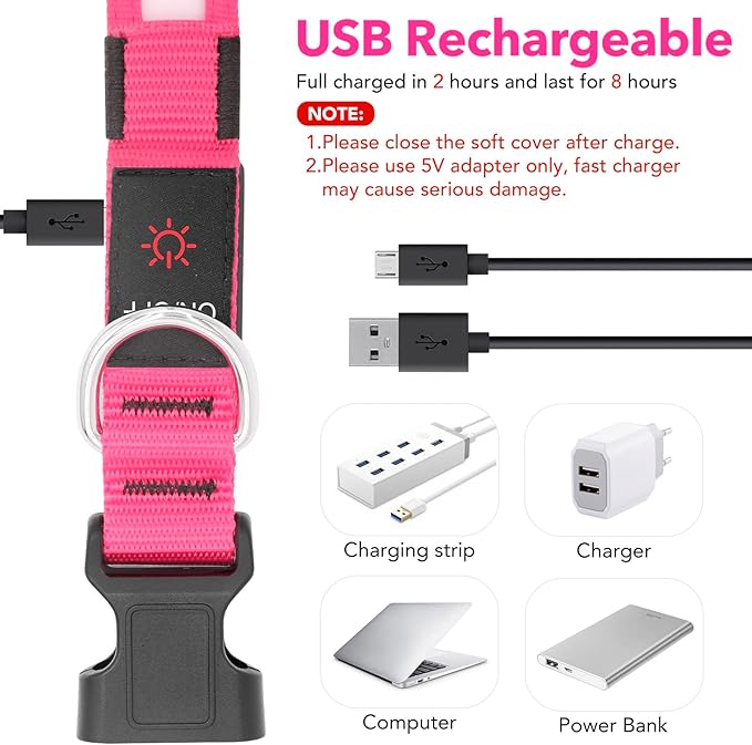 Vizpet LED Dog Collar, Light Up Dog Collar Adjustable USB Rechargeable Super Bright Safety Light Glowing Collars for Dogs (X-Large, Pink)
