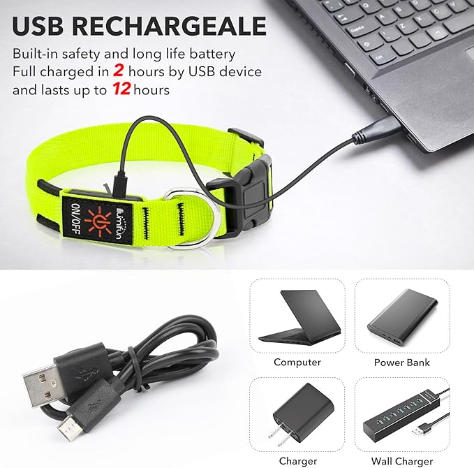Illumifun LED Dog Collar, Light Up Dog Collar Rechargeable Glow in Dark Pet Collar Safety Dog Lights for Night Walking Camping (Green, Large)