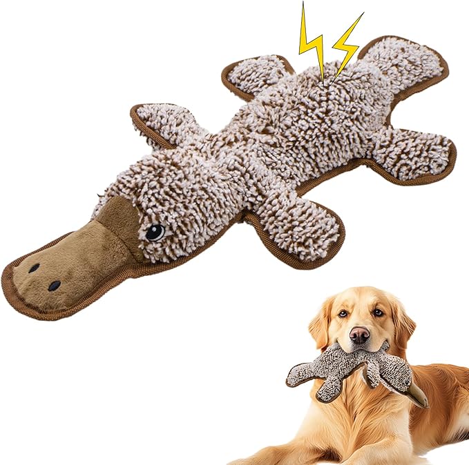 No Stuffing Dog Squeak Toys- Chew Toys for Small Medium Large Breed- Durable Puppy Teething Interactive to Keep Them Busy- Best Birthday Gift(Platypus)