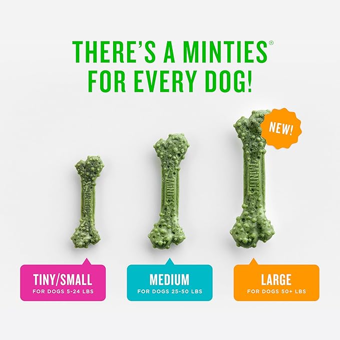 Minties Dental Chews for Dogs, 60 Count, Vet-Recommended Mint-Flavored Treats for Medium Dogs 25-50 lbs, Bones Clean Teeth, Fight Bad Breath, and Removes Plaque and Tartar