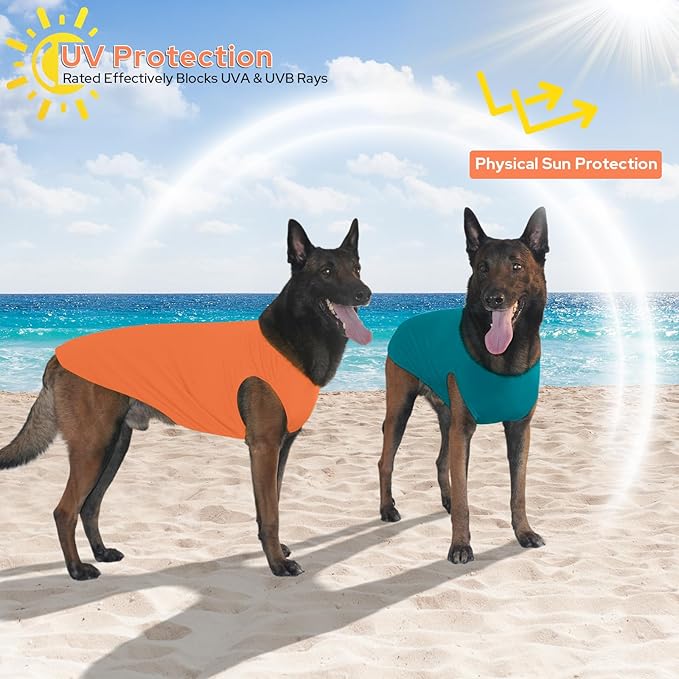 2 Pack Dog Shirts, Ice Pet Vest Dog Clothes for Instant Cooling, Lightweight Breathable Sleeveless T-Shirts for Large Dogs, Peacock Blue+OrangeRed (XL)