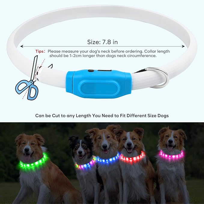 Flashseen LED Dog Collar, USB Rechargeable Glowing Lighted Up Collar, Cuttable Water-Resistant TPU Safety Collar Lights for Small Medium Large Dogs (Style 1)