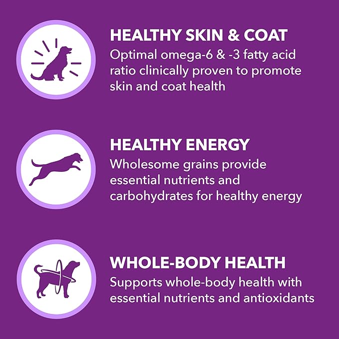 IAMS Advanced Health Skin & Coat Adult Dry Dog Food Chicken and Salmon Recipe, 13.5 lb. Bag