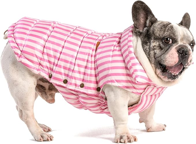 SPACE LION Puffer Jacket, Down Winter Coat, Waterproof, Windproof, Lightweight Jacket, Adjustable Fit for Small, Medium, Large Dogs (Pink, M)