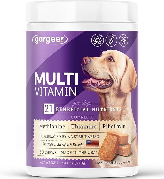 Dog Multivitamin 21-in-1 Chews for Dogs. Rich with Fatty Acids & Antioxidants. Supports Healthy Gut, Mobility & Immune System. for Seniors and Puppies – 60 Soft Chews, Made in The USA, Enjoy!
