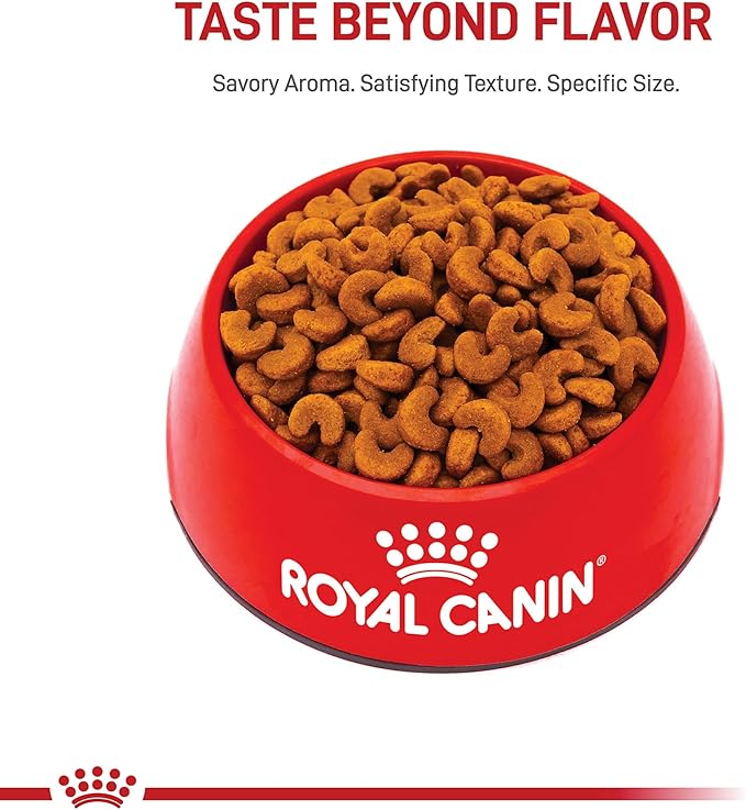 Royal Canin Breed Health Nutrition French Bulldog Puppy Dry Dog Food, 3 lb Bag