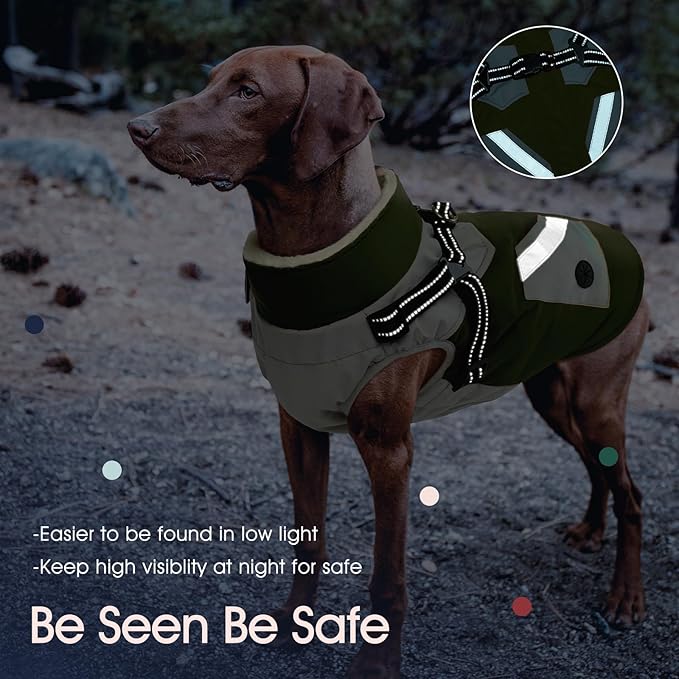 IECOii Dog Coat with Harness Built in - Green, Large - Waterproof Winter Coat, Fleece Lined Snow Jacket for Dogs