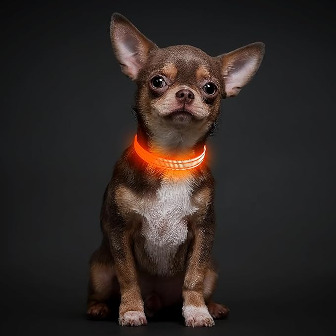 Illumifun Light Up Dog Collar for Small Dogs Cats, Rechargeable LED Dog Collar Glow at Night, Adjustable Nylon LED Cat Collar Light (Orange, X-Small)