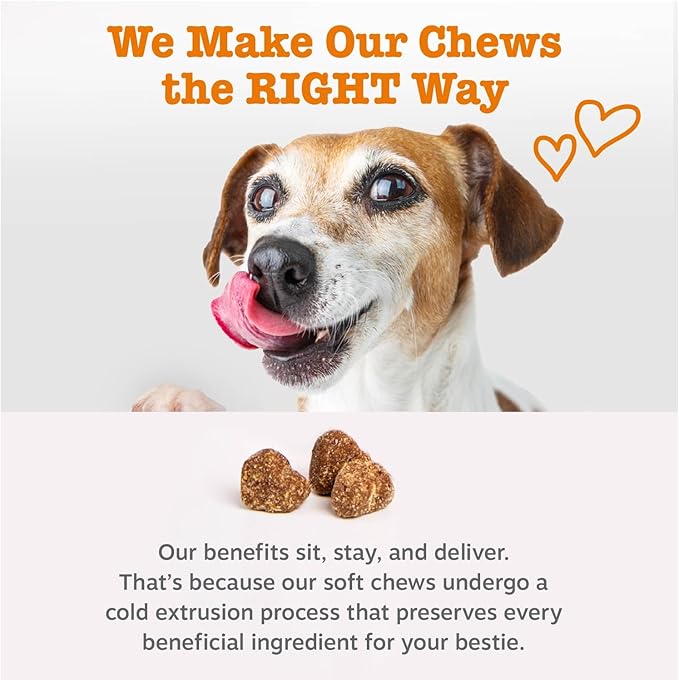 Zesty Paws Cardiovascular Support for Dogs - Taurine for Dogs - with CoQ10, L Carnitine & Sea Buckthorn - Senior Heart Health - AlaskOmega Fish Oil Omega 3 - Senior - Salmon - 90 Count