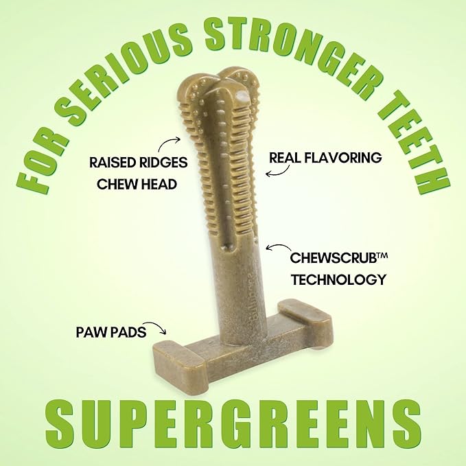 Bullibone SuperBrush: Dog Teeth Cleaning Brushing Toothbrush Stick - Long Lasting Nylon Super Greens Chew Toy for Oral Care and Dental Health
