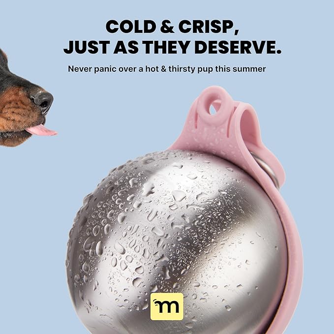 Malsipree 2-in-1 Portable Dog Water Bottle & Bowl for Small Dogs - Leak Proof & Insulating - Travel Water Dispenser - Stainless Steel Bottle & Silicone Bowl - Walking & Hiking (10 fl oz, Pink)