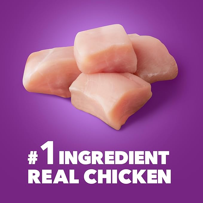 IAMS Advanced Health Skin & Coat Adult Dry Dog Food Chicken and Salmon Recipe, 36 lb. Bag