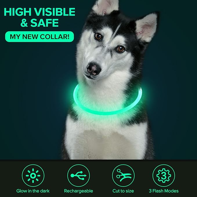 Colaseeme LED Dog Collar Light Up Dog Collars 1 Count USB Rechargeable TPU Glow Safety Basic Dog Collars for Large Medium Small Dogs (Cyan)