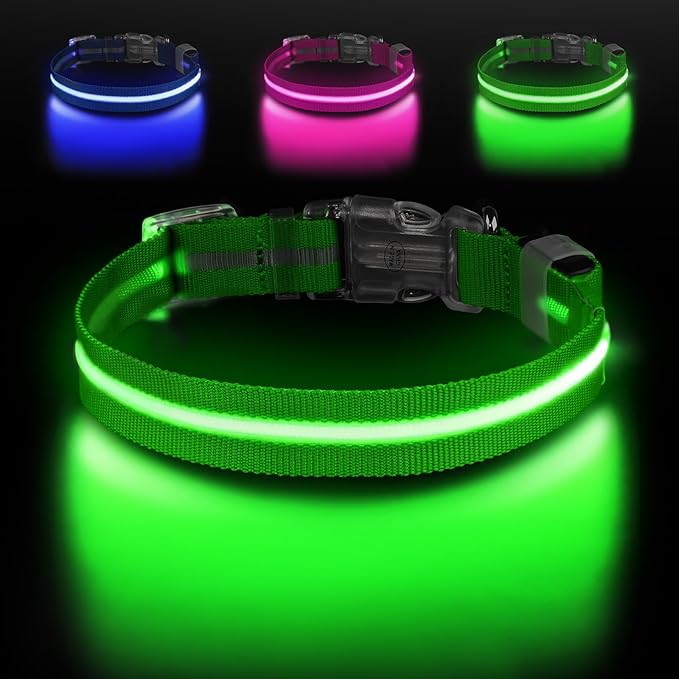 Light Up Dog Collar, Adjustable USB Rechargeable Glow in Dark Dog Collar ,Waterproof Dog Collars for Small Dogs (Green, Small)