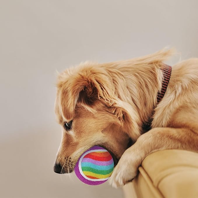 EXPAWLORER Tennis Balls for Dogs - 12 Pack 2.5¡± Squeaky Dog Tennis Balls Toys,Christmas Dog Toys Teething Chew Interactive Dog Bounce Toys for Training Exercise Playing Indoor Outdoor, Rainbow