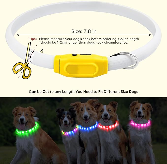 Flashseen LED Dog Collar, USB Rechargeable Glowing Lighted Up Collar, Cuttable Water-Resistant TPU Safety Collar Lights for Small Medium Large Dogs (Style 2)