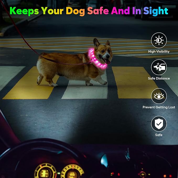 Flashseen LED Dog Collar, USB Rechargeable Glowing Lighted Up Collar, Cuttable Water-Resistant TPU Safety Collar Lights for Small Medium Large Dogs (Style 1)