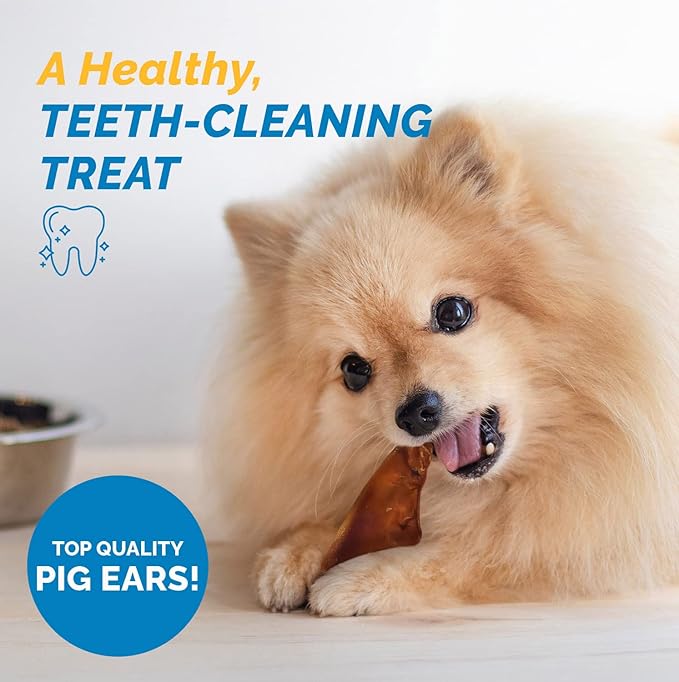 Pig Ears for Dogs, 100% Natural Long Lasting Pork Dog Chews, Ideal for All Chewers, Delicious and Healthy Dog Treats, Half Pig Ears (One Pack of 30)