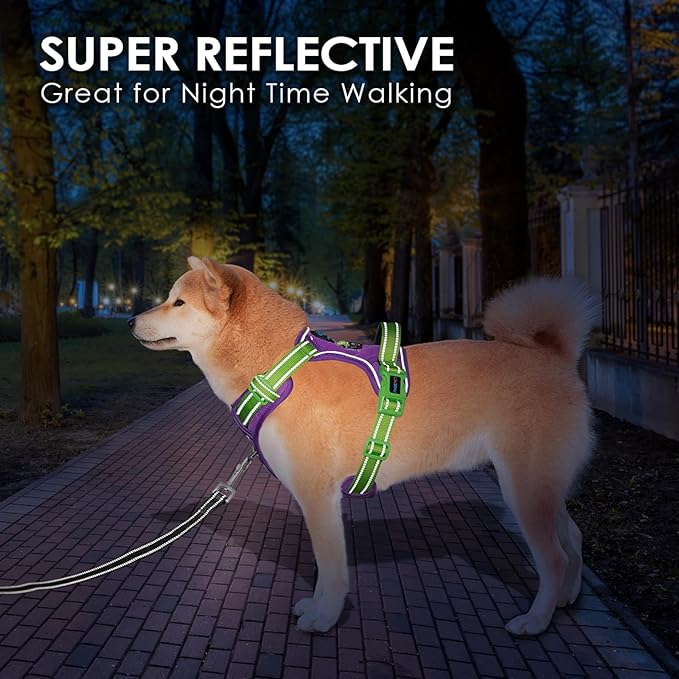 PHOEPET No Pull Dog Harness, Unique Colors Reflective Adjustable Dog Vest, with Soft Training Handle Metal Clips for Small Medium Large Dogs (Purple Base & Green Straps,M)