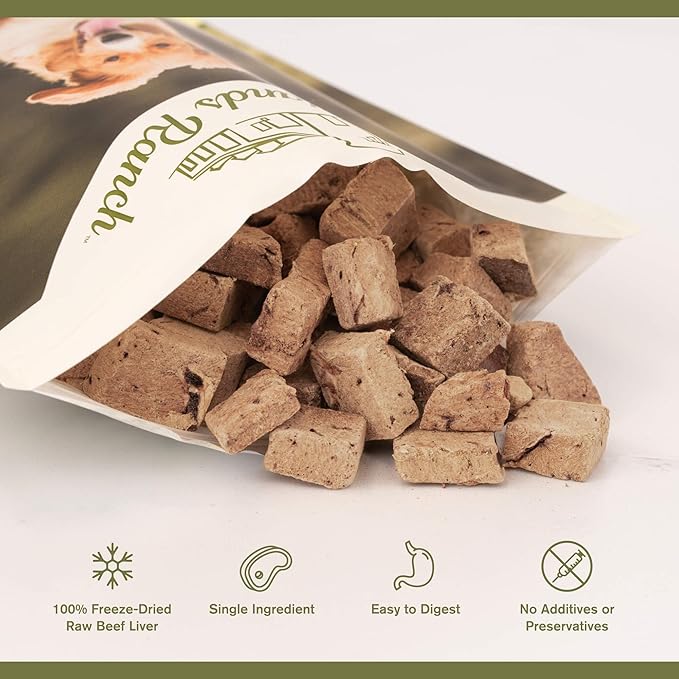 Superfood Bite, Freeze-Dried Raw Dog Treats - Protein Rich, Train & Reward, Traceable Single Ingredient by Katherine Heigl (Beef Liver)