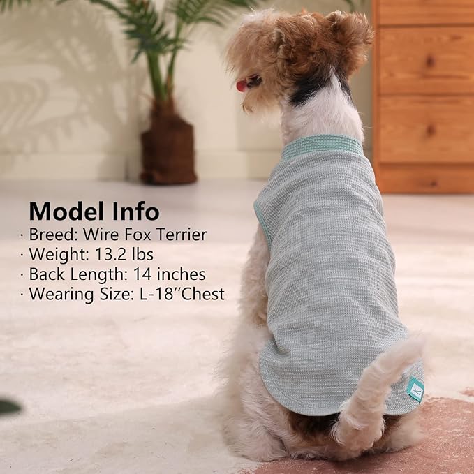 KYEESE 2Pack Dog Shirts Waffle for Small Dogs Stretchy Pet T-Shirts Lightweight Dog Tank Top Sleeveless Dogs Vest Breathable, X-Large, Green+Grey