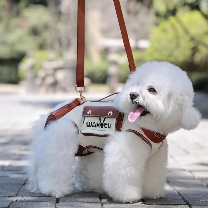 Dog Lift Harness Dog Carrier VES Harness Adjustable Leash with Small Puppy Treat Bag,Fits Most Cars,S,4-8 LBS