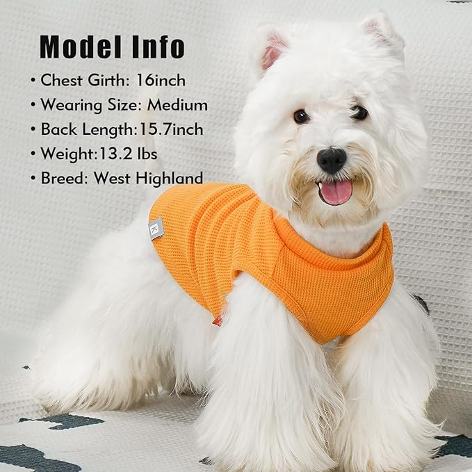 KYEESE 2Pack Waffle Dog Shirts for Small Dogs Stretchy T-Shirts Lightweight Tank Top Sleeveless Striped Shirt Vest Breathable Cat Shirt, Medium, Orange+Striped