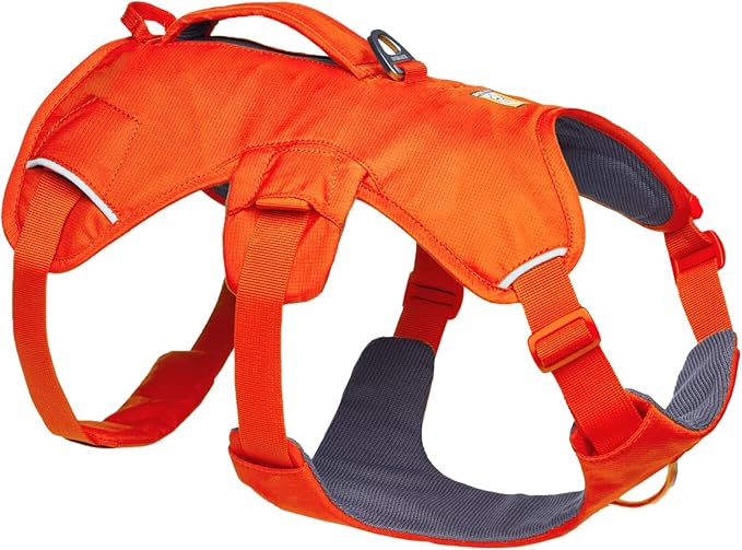 Ruffwear, Web Master, Multi-Use Support Dog Harness, Hiking and Trail Running, Service and Working, Everyday Wear, Blaze Orange, Small