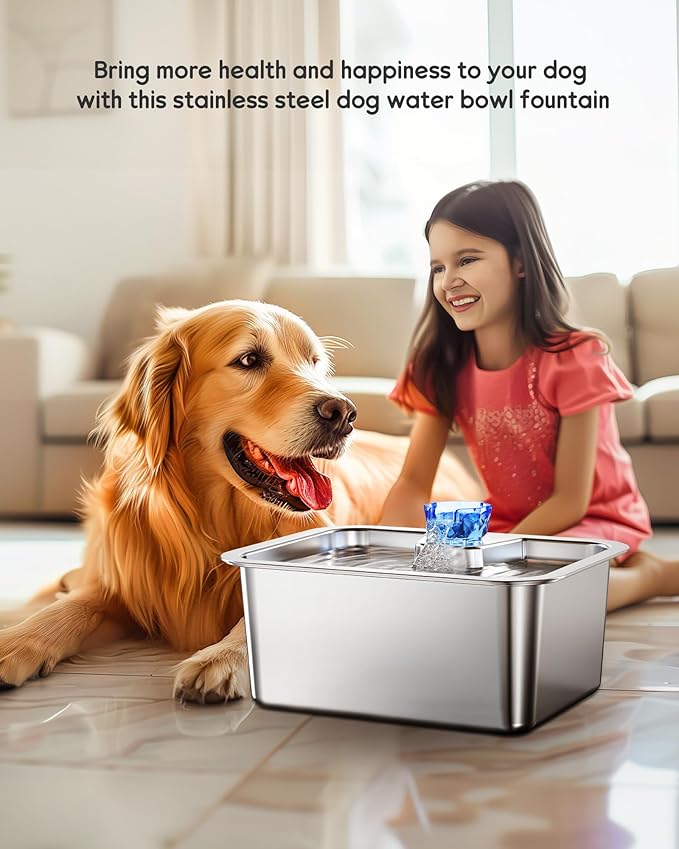 3 Gallon Large Dog Water Fountain, Stainless Steel Pet Water Fountain for Large Dogs, Automatic Big Dog Water Bowl Dispenser Drinking with 2 Filters, Easy to Clean, Quiet Pump