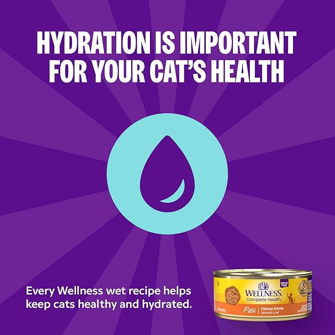 Wellness Complete Health Pate Adult Wet Cat Food, Natural, Protein-Rich, Grain Free, 3 Ounce, 24 Pack, (Chicken)