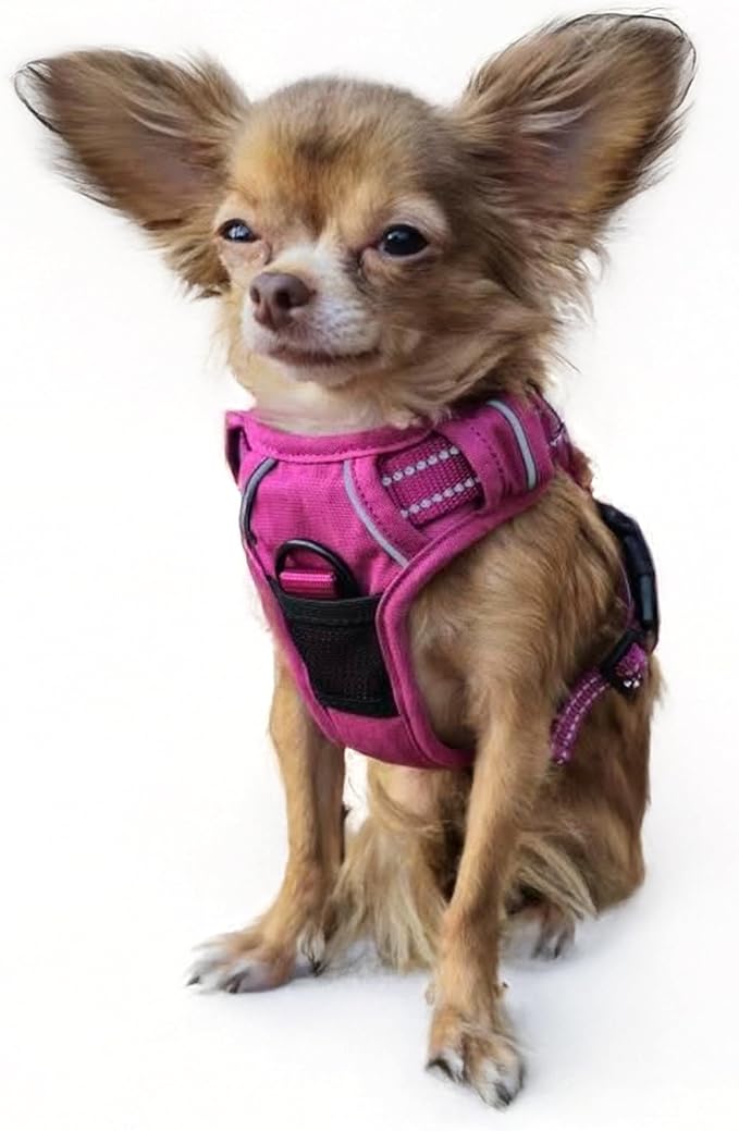 Doggie Design Venture Paw No Pull Dog Harness - Simple Adjustable Puppy Harness - Anti Pull Dog Collar for Walks and Outdoor Adventures - Wild Raspberry, XS