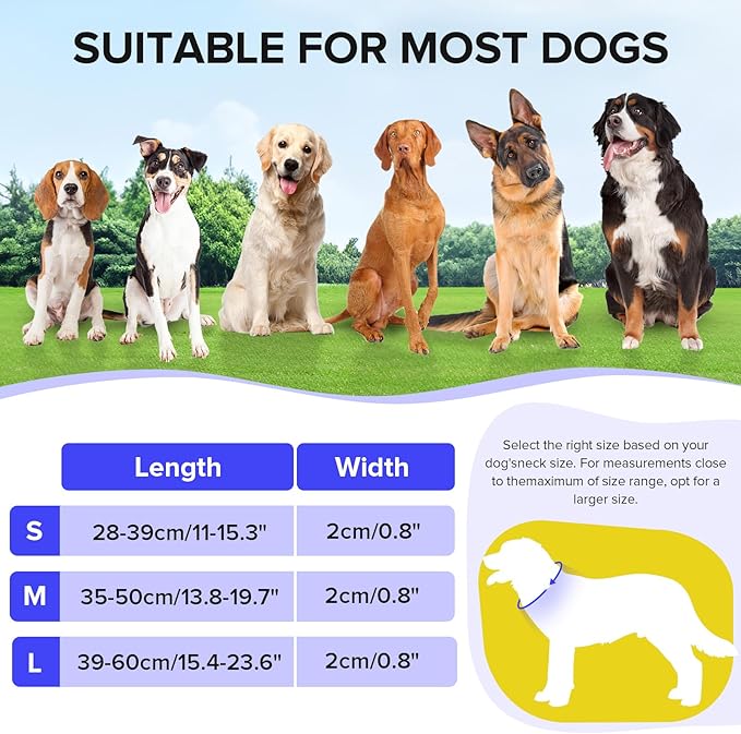 Light Up Dog Collar, Adjustable USB Rechargeable Glow in Dark Dog Collar ,Waterproof Dog Collars for Small Dogs (Blue, Small)