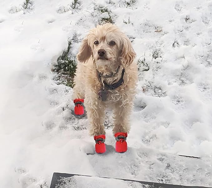 YAODHAOD Dog Shoes for Hot Pavement, Anti-Slip Sole Dog Boots & Paw Protector for Summer, Reflective Straps Dog Booties for Small Medium Dogs, Indoor Use 4PCS (Red,Size: 2)