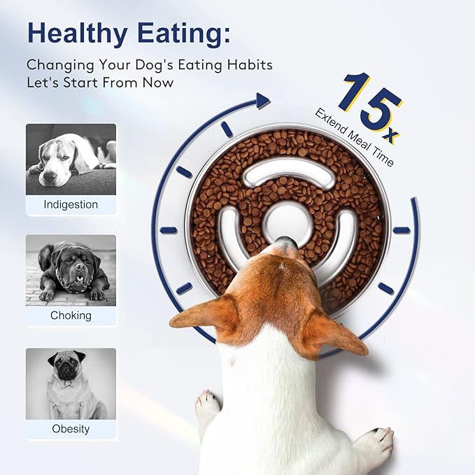 Slow Feeder Dog Bowl Stainless Steel, 2 Cups Metal Non-Slip Dog Food Bowls, Dog Water Bowl for Small & Medium Sized Dogs, Fun Bloat Stop Pet Bowl for Fast Eaters, Slows Down Pets Eating