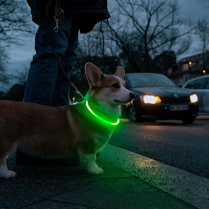HIGO Light Up Dog Collars, USB Rechargeable LED Dog Collar, TPU Cuttable Dog Glow Collar, High Visibility Puppy Collar Safety Dog Lights for Night Walking(Green)
