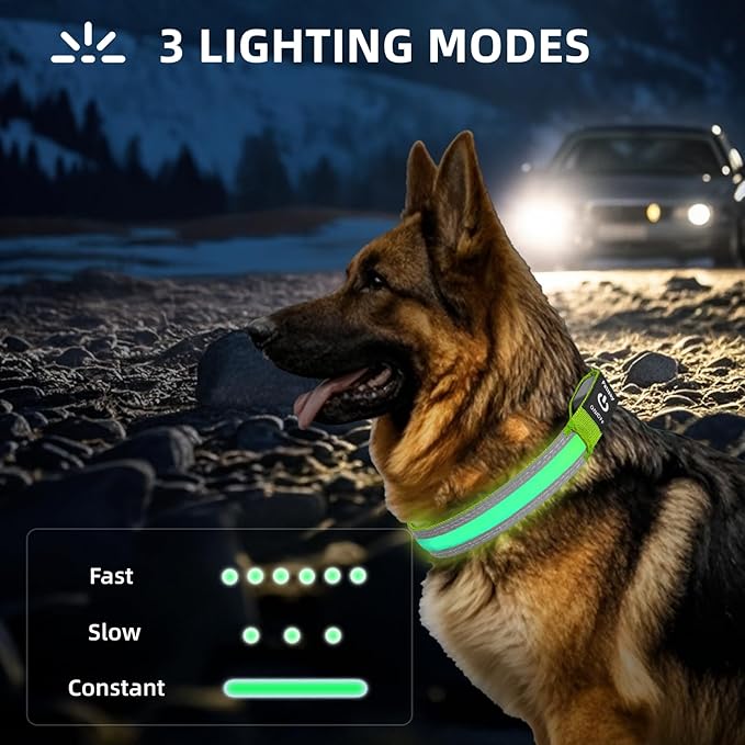 PetIsay LED Dog Collar Metal Buckle - Heavy Duty Light up Collars - Rechargeable IP68 Waterproof - Lighted Dog Collar for Night Walking, Hiking, Camping (Medium, Green)