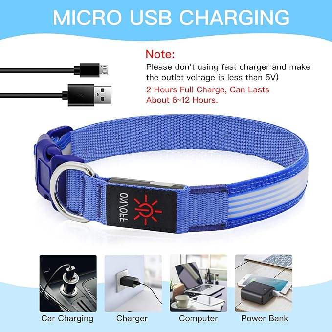 YFbrite Light up Dog Collar, USB Rechargeable LED Puppy Collar Super Bright Adjustable Glowing Dog Lights for Night Walking (Design-2- Blue, Large)