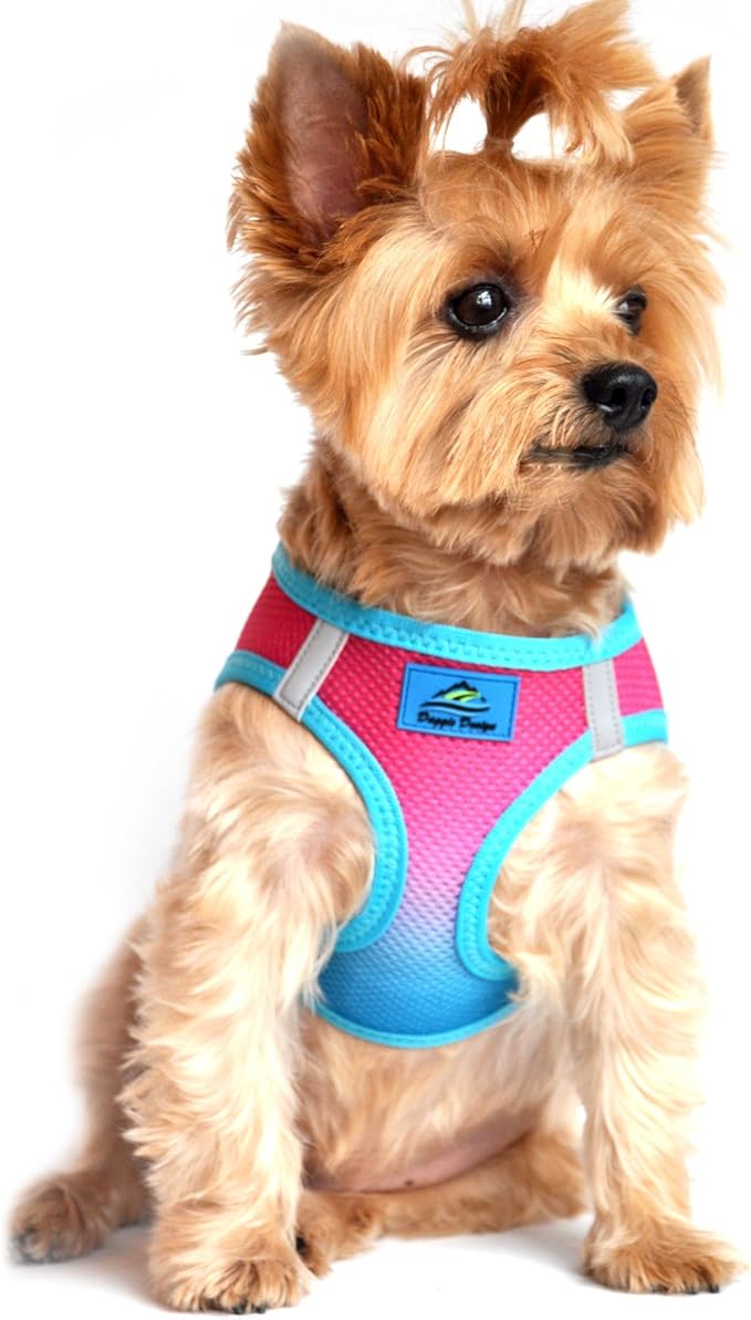 Doggie Design No Choke Dog Harness - Simple Step-in and Go Dog Vest for Small, Medium, and Large Breeds - Breathable Mesh Polyester Pet Harness - Sugar Plum - S