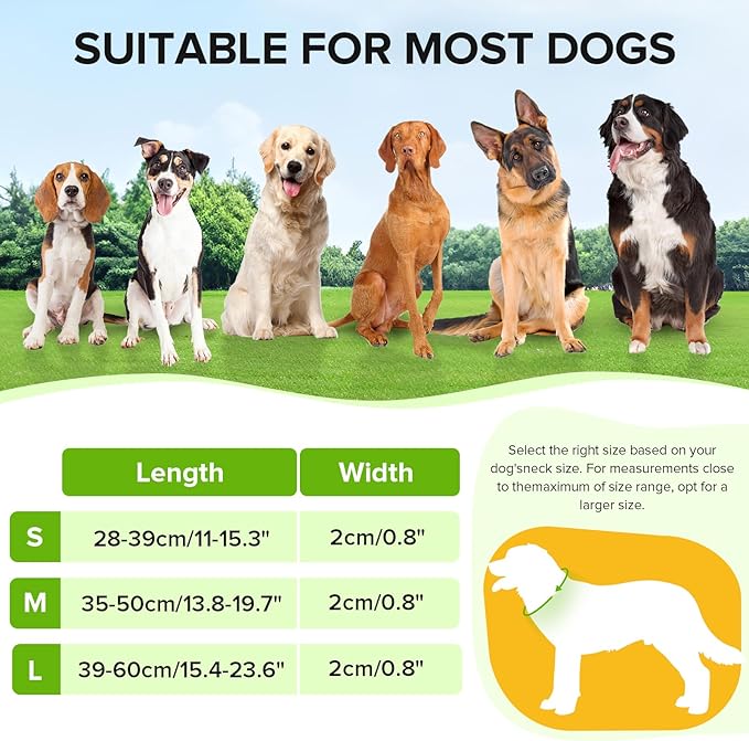 JewyowLight Up Dog Collar, Adjustable USB Rechargeable Glow in Dark Dog Collar ,Waterproof Dog Collars for Large Dogs (Green, Large)