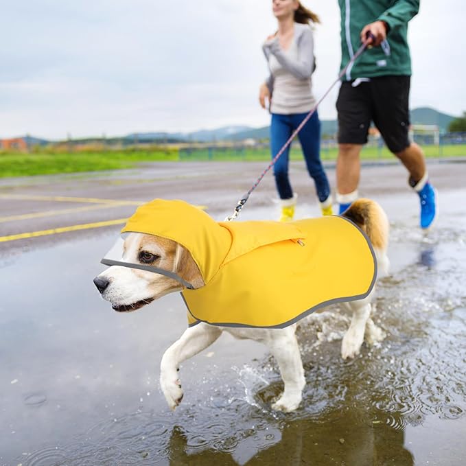Abbylike Adjustable Waterproof Dog Raincoat Slicker Poncho for Small and Medium Dogs Puppies, with Transparent Hooded Double Layer, with Reflective Edges and Foldable Storage Bag(M)