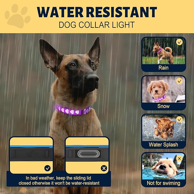 Dog LED Collar, 3D Design Light Dog Collars Adjustable Light Up Dog Collars 15 Multi-Colors Lighting Rechargeable Waterproof Bright Safety Light Up Dog Collar, Purple