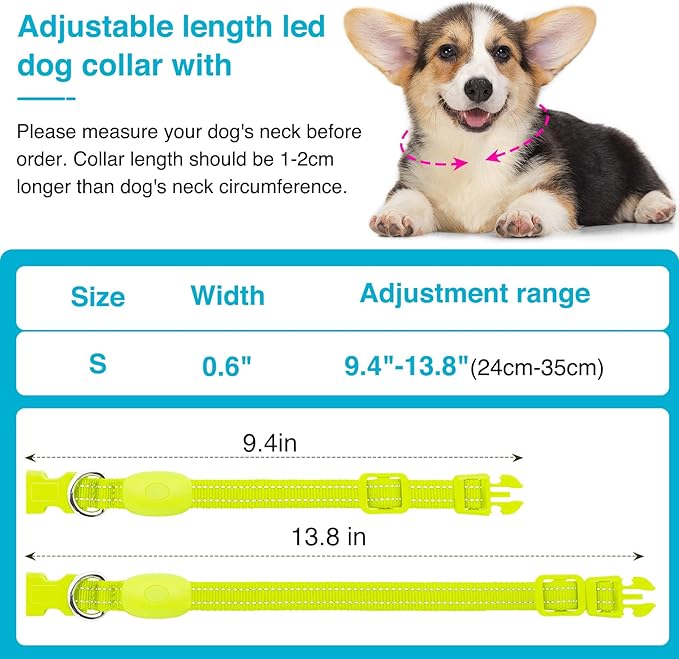 LED Dog Collar - Light Up, Adjustable, Rechargeable, Waterproof, Glow in Dark for Small Pets (S, Green)