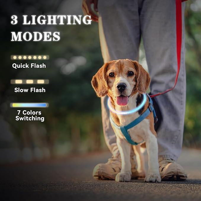 7 Colors in 1 Led Light Up Dog Collar Rechargeable Waterproof, Glow in Dark Dog Collar, TPU Cuttable Lighted Dog Collars for Night Walking Charging USB, Safety for Small Medium Large Dogs Colorful