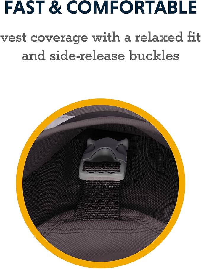 Ruffwear, Lumenglow High-Vis Dog Jacket, High-Visibility Protection for Day and Night, Blaze Orange, XX-Small