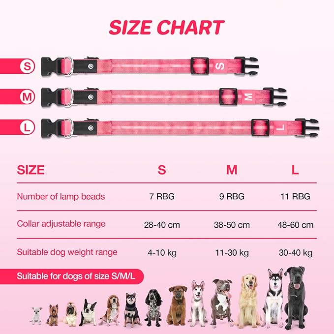 RUXAN Light Up Dog Collar,Dog Lights for Night Walking,LED Collars Waterproof,Glow Dog Collars Rechargeable,Glow in The Dark Dog Collar,Dog Collars Light for Small,Medium,Large Dogs (Medium,Pink)