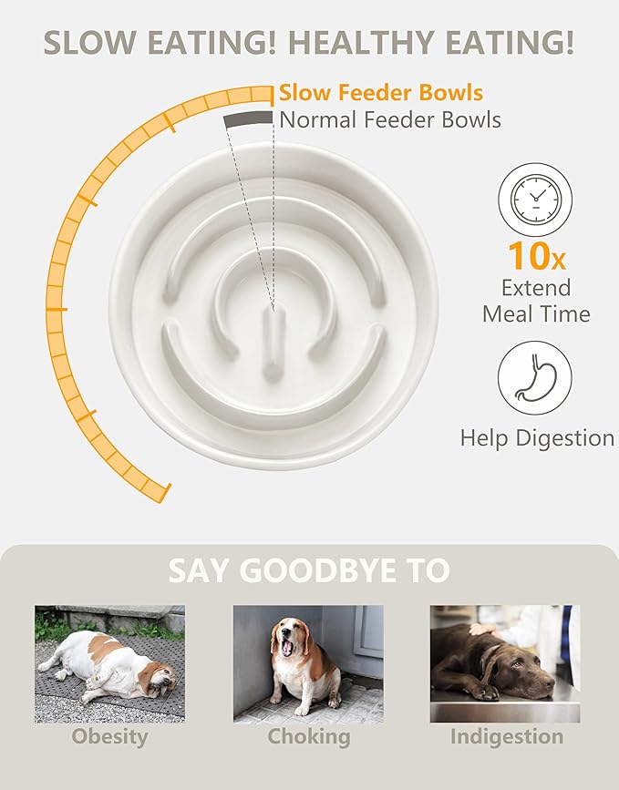 Ceramic Slow Feeder Dog Bowls Elevated, 0.6 Cup Slow Feeder for Small Dogs and Cats, Puzzle Maze Bowl, Prevents Choking, 6in, White