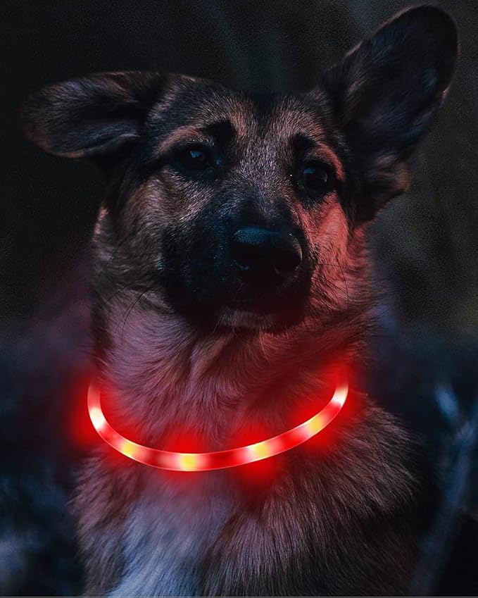Joytale Light Up Dog Collar, Rechargeable Rainproof LED Collar for Night Walking Safety, Soft Silicone Glow in The Dark, Suitable for Small Medium Large Dogs, Red
